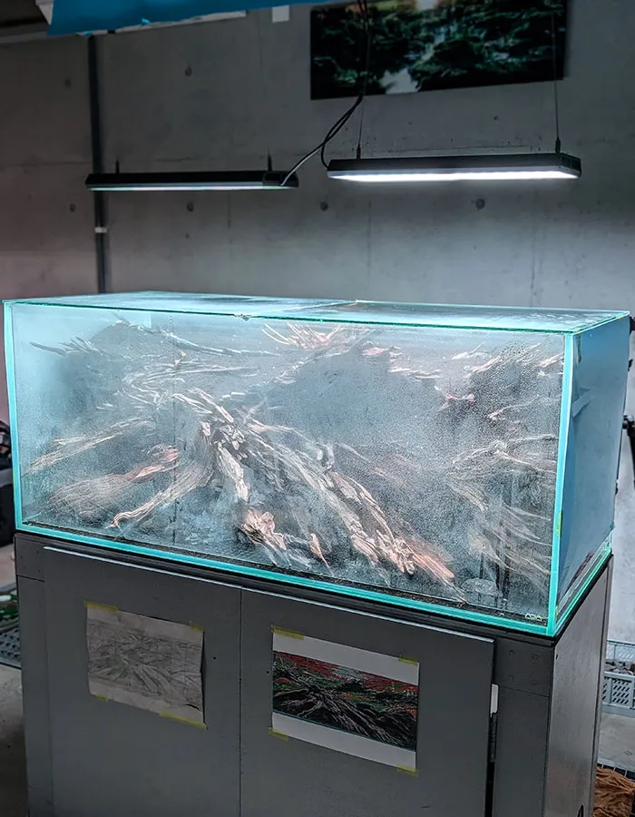 Aquascaping steps - PRIMAL BUST - IAPLC 2025 Silver Prize - Katsuki Tanaka / Japan